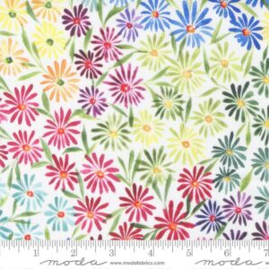 Moda Eufloria Rainbow 39744 11