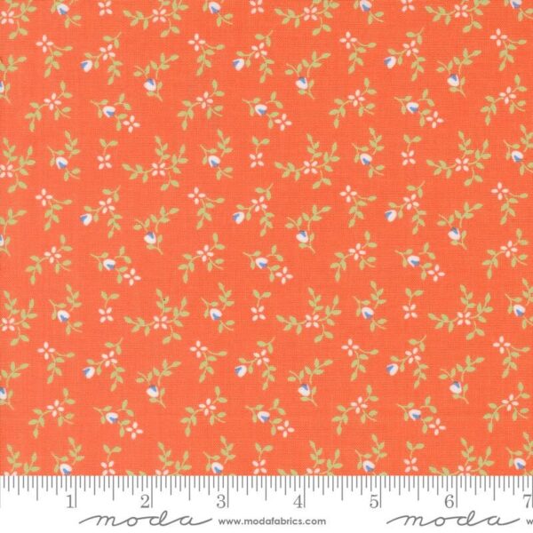 Moda Cali Co Melon 29192 34 Moda #1