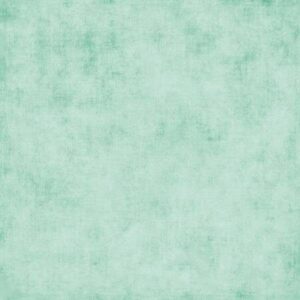 Riley Blake Designs Shades Hint of Mint C200R