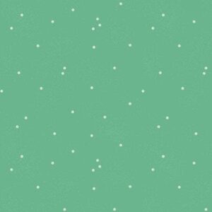 Dainty Daisy Color Alpine