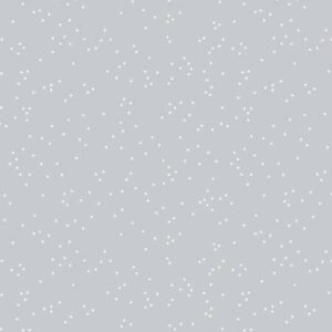 Rkiley Blake Designs Blossoms In Color Silver C715R