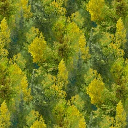 Autumn Retreat Tree Texture Harvest PB091225