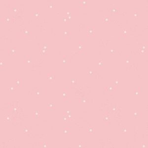 Riley Blake Designs Dainty Daisy Frosting C665R