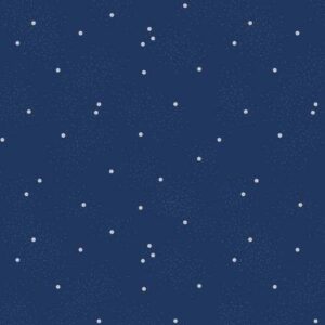 Riley Blake Dainty Daisy Navy C665