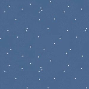 Dainty Daisy Color Denim