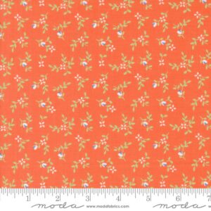 Moda Cali Co Melon 29192 34 Moda #1