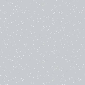 Riley Blake Designs Blossoms In Color Silver C715R