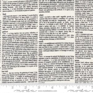 Moda Graze Newsprint Vanilla 55604 11