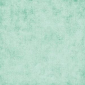 Riley Blake Designs Shades Hint of Mint C200R