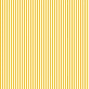 Stripe 1/8 Inch Color MUSTARD