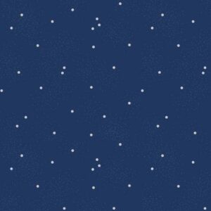 Riley Blake Dainty Daisy Navy C665