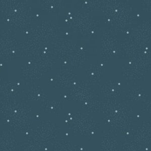 Dainty Daisy Stargazer