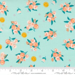 Moda Sew Wonderful Soft Aqua 25114 17